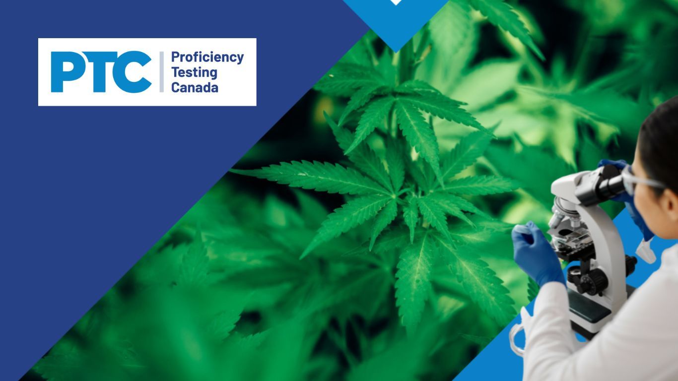 Proficiency Testing Canada improves laboratory data quality with real cannabis samples
