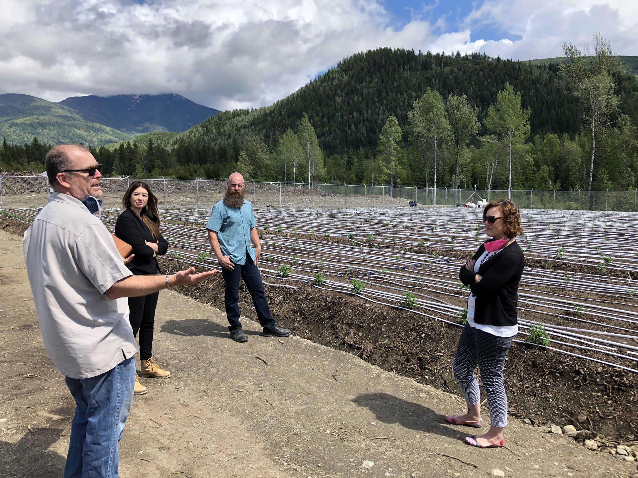 Kootenay cannabis growers benefit from local licensing program