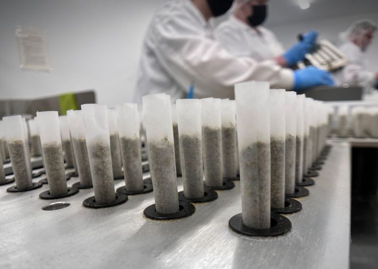 DEALR’s push for cannabis market dominance
