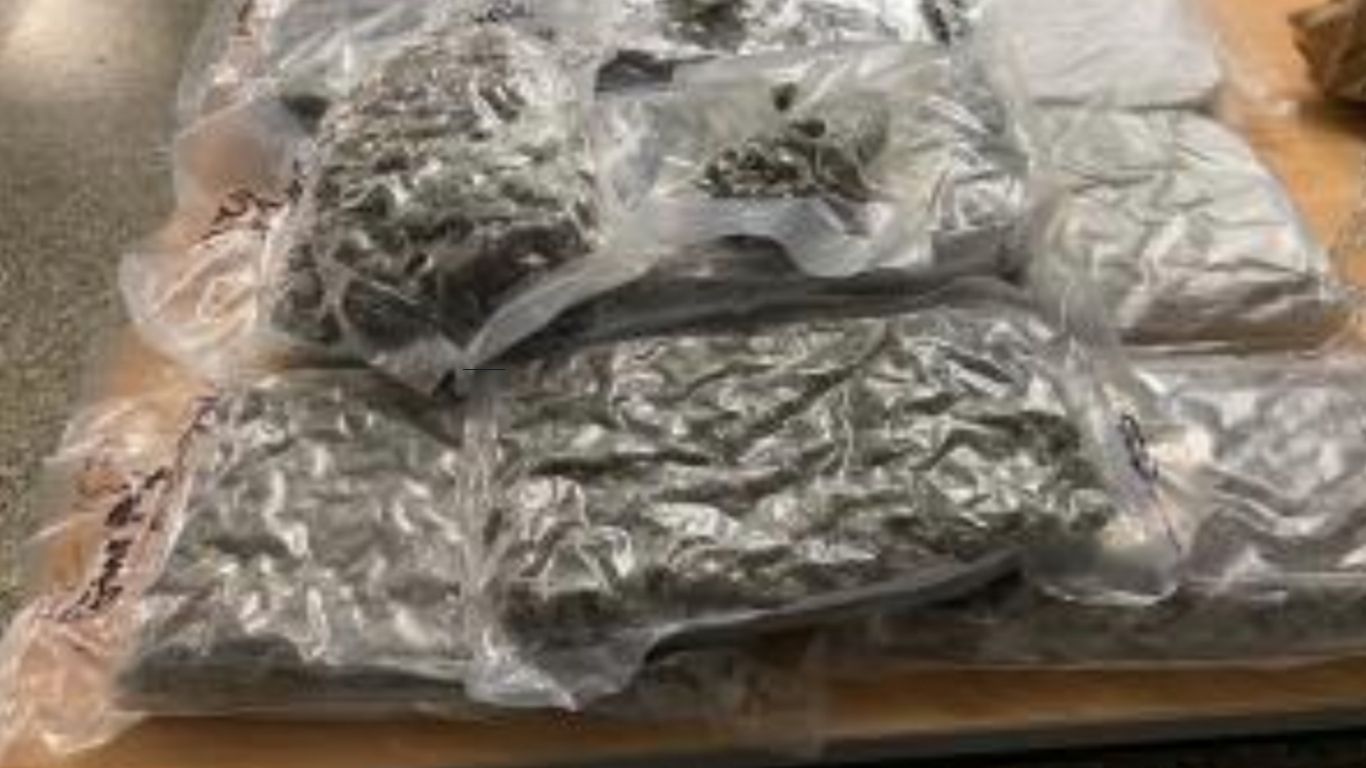 New York man caught near Canadian border with 13 pounds of cannabis