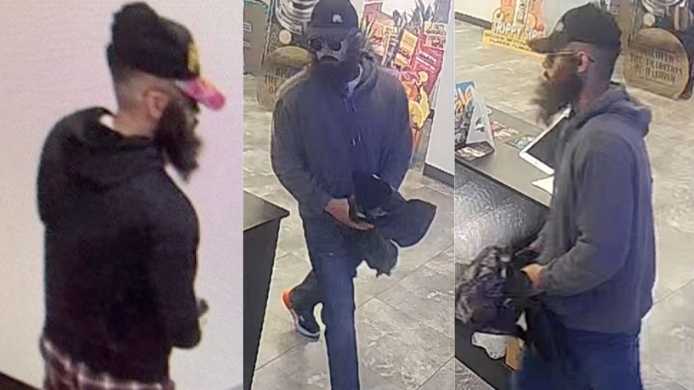 Police in Edmonton want help identifying man in fake beard robbing cannabis stores