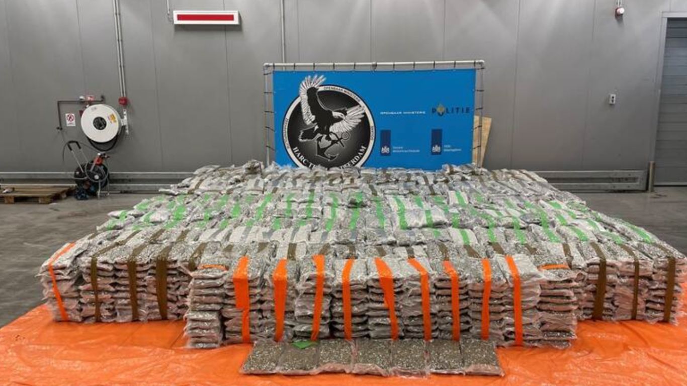 Large shipment of Canadian cannabis seized in the Netherlands