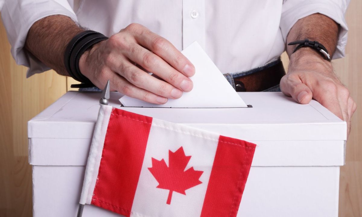 Politicians won’t support cannabis without public pressure