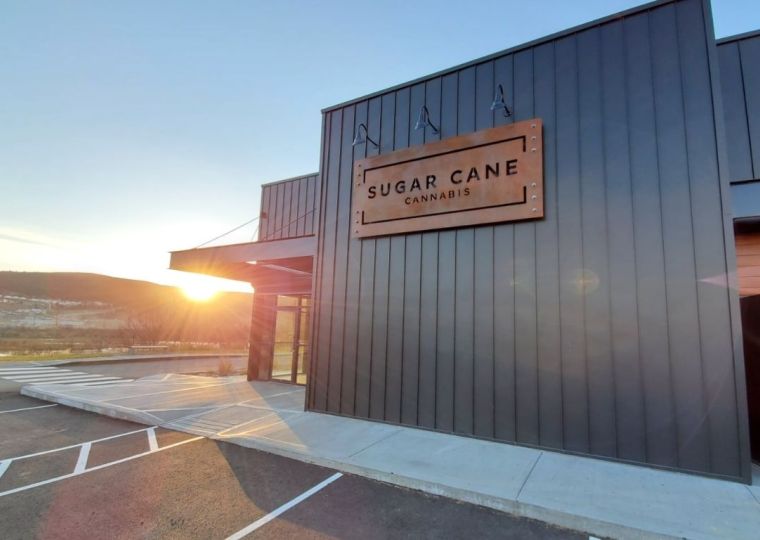 Sugar Cane Cannabis on their new micro cultivation licence