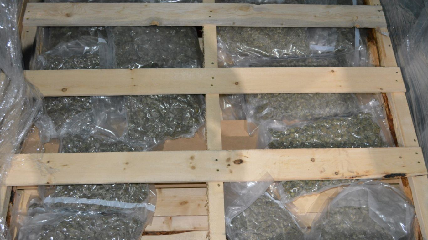 US/Canadian law enforcement seizes 123 kg of cannabis in Montreal