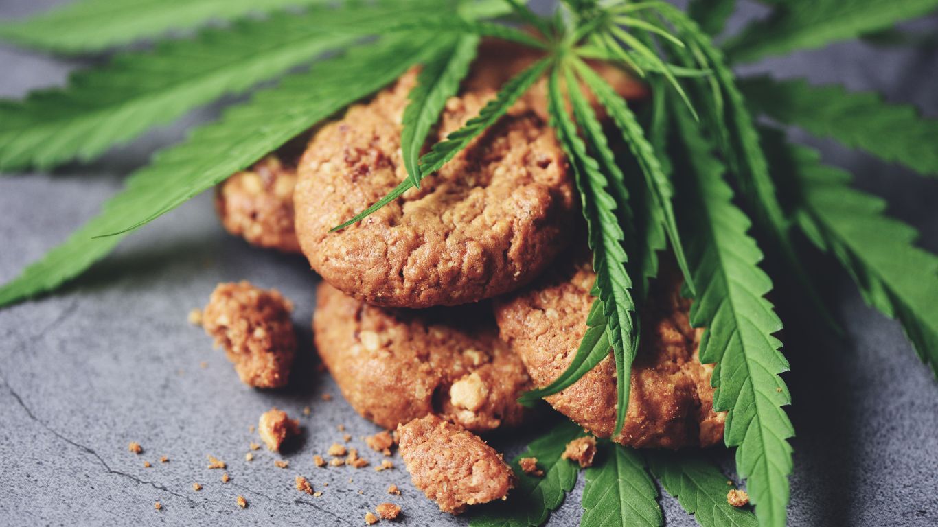 Survey shows increase of drivers in Ontario consuming cannabis edibles