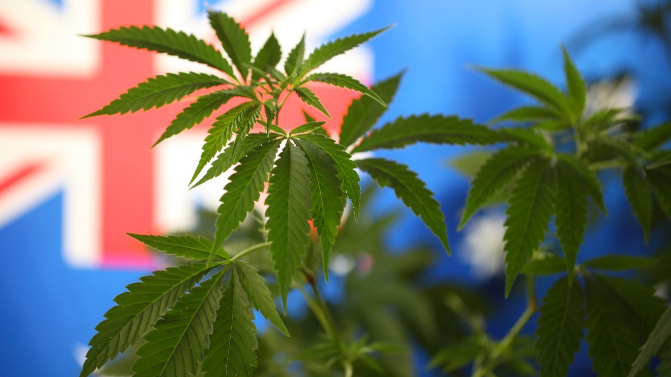Australian Greens introduce their Legalising Cannabis Bill 2023