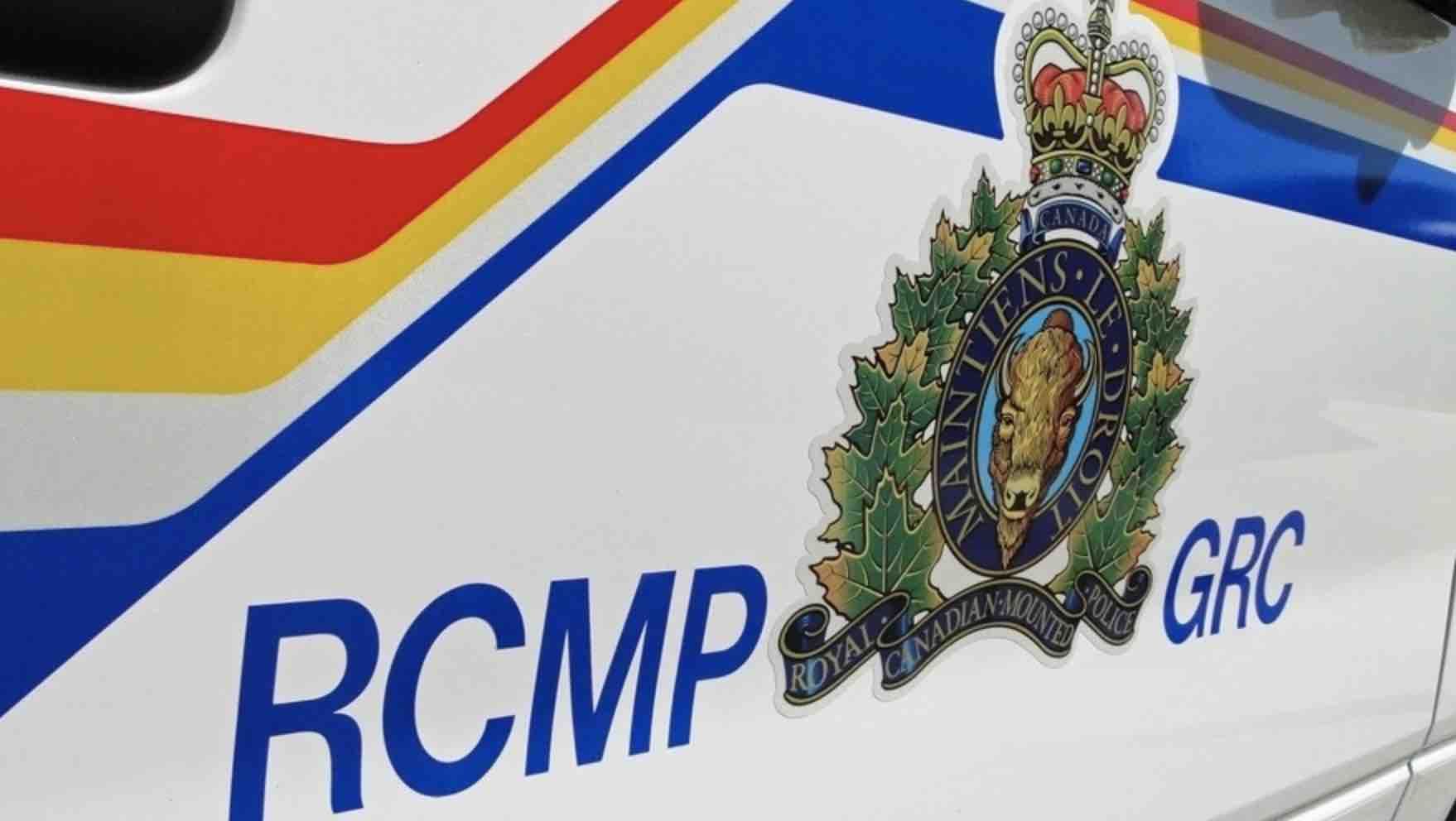 Cannabis farm leads Kitchener RCMP to large drug bust, six arrests