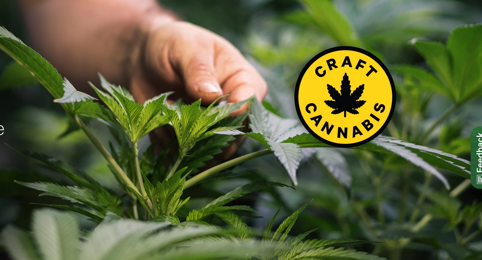 The Ontario Cannabis store launches their Craft Cannabis category