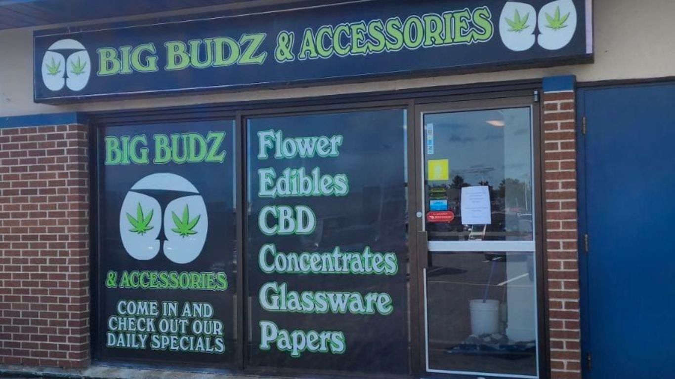 Cannabis, vapes seized from Fredericton store