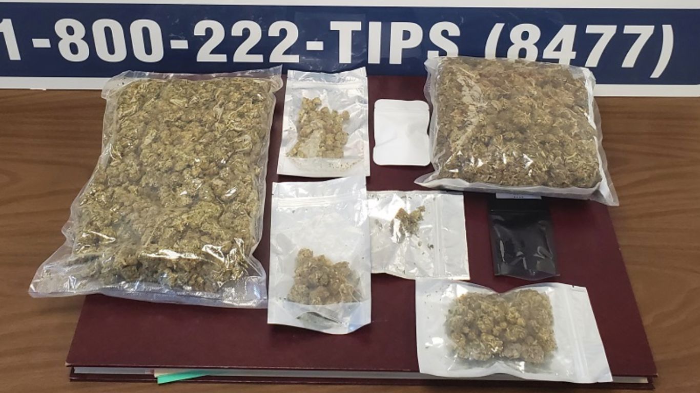 Police in Newfoundland hope to locate owner of 2 pounds of ditch weed