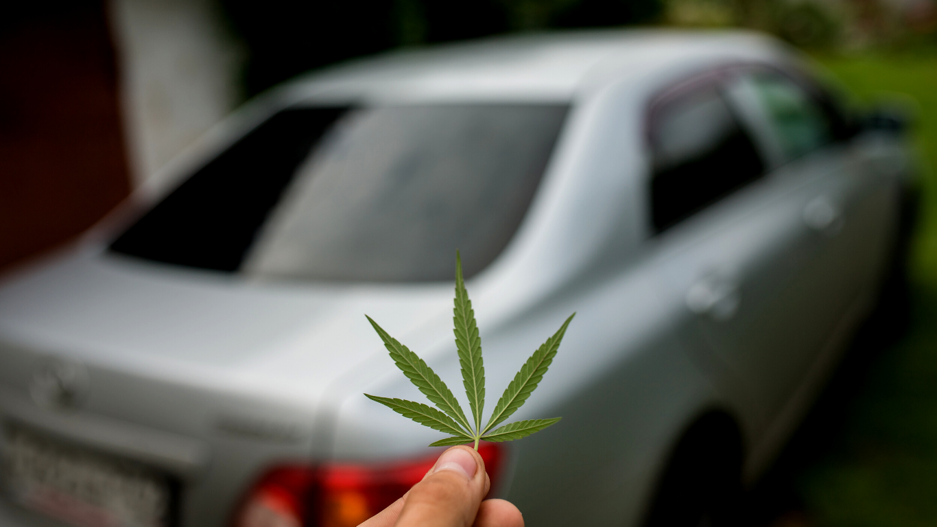 CAA released ad campaign on cannabis edibles and impaired driving