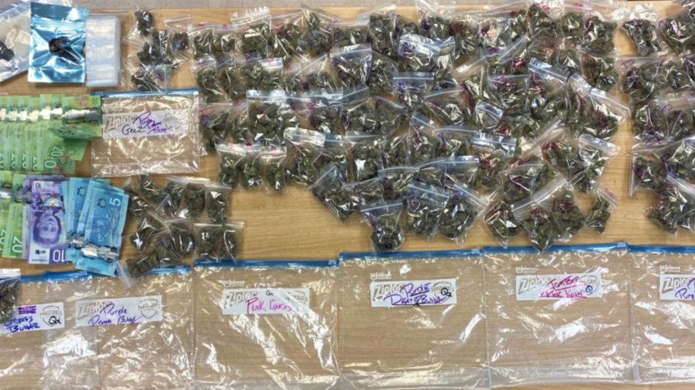 Nova Scotia RCMP charge man with weapons, drug charges, including selling cannabis to minors