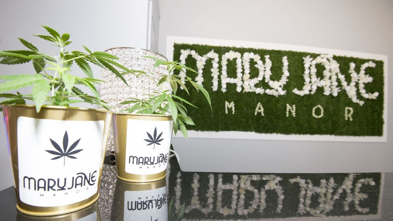 Alberta micro grower creates Mossleigh’s Mary Jane Manor