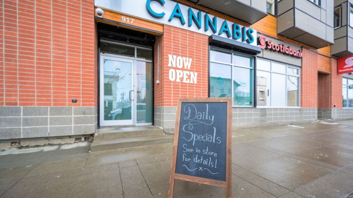 Alberta has collected more than $176,000 in cannabis fines since 2018