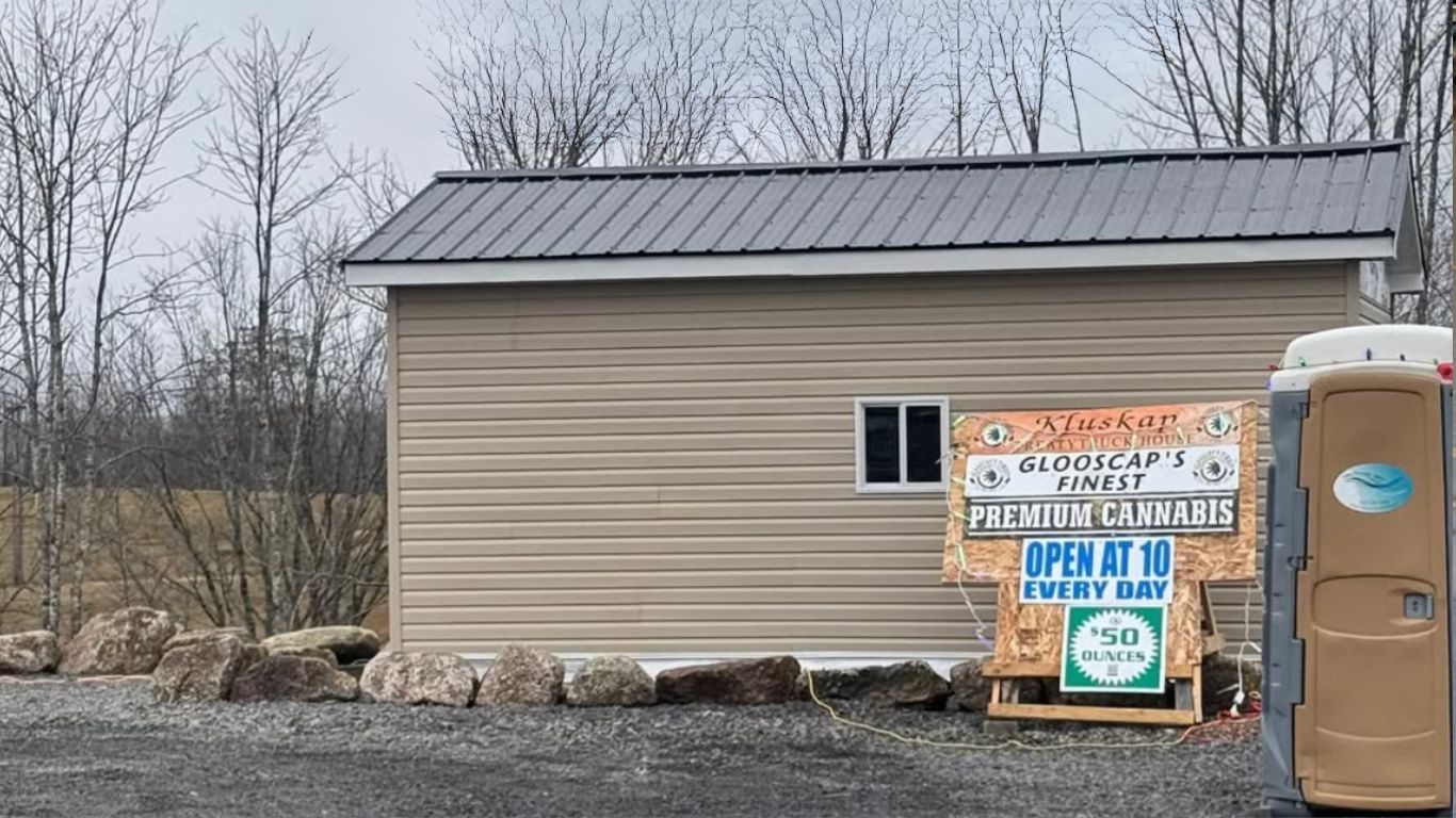 RCMP in Nova Scotia shut down unlicensed cannabis storefront