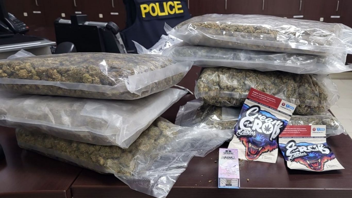 Police in Ontario seized 3 kg cannabis, edibles, vape pen during traffic stop