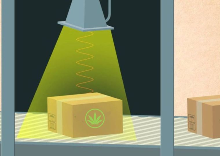 The pros and cons of cannabis irradiation