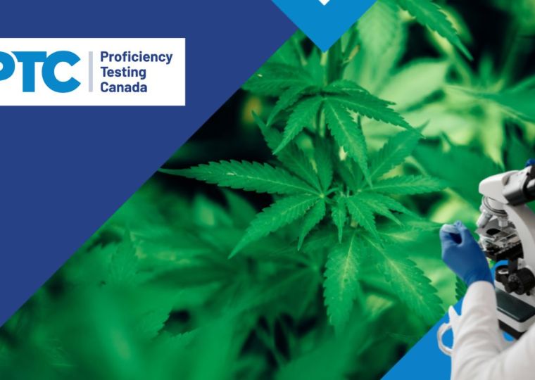 Proficiency Testing Canada improves laboratory data quality with real cannabis samples