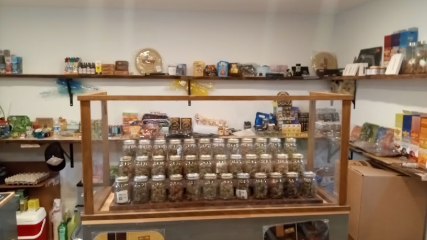 RCMP in Nova Scotia seize cannabis and psilocybin from unlicensed store, charge three