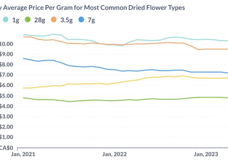 Dried flower price outline August 2023
