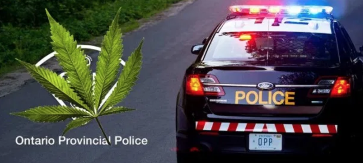 Ontario Provincial Joint Force Cannabis Enforcement Team raids online retailer