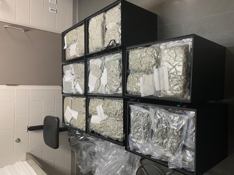 Large cannabis seizures at US/Canada border continue with another 240 kg found at Peace Bridge