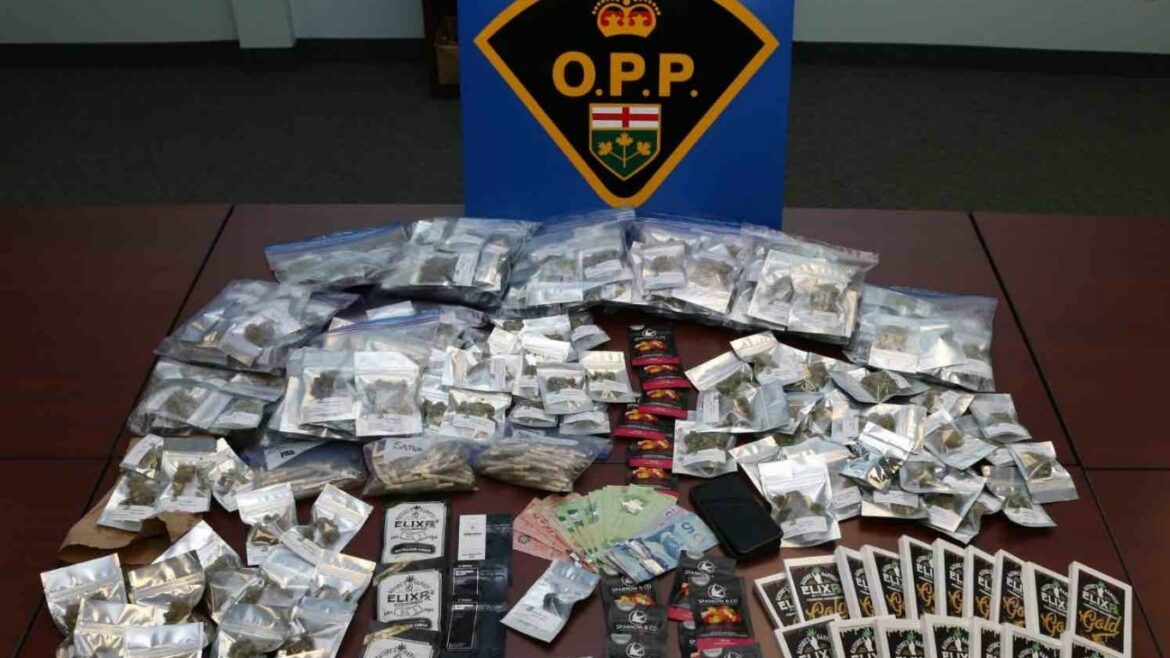 Grenville OPP seize $15k worth of cannabis in traffic stop