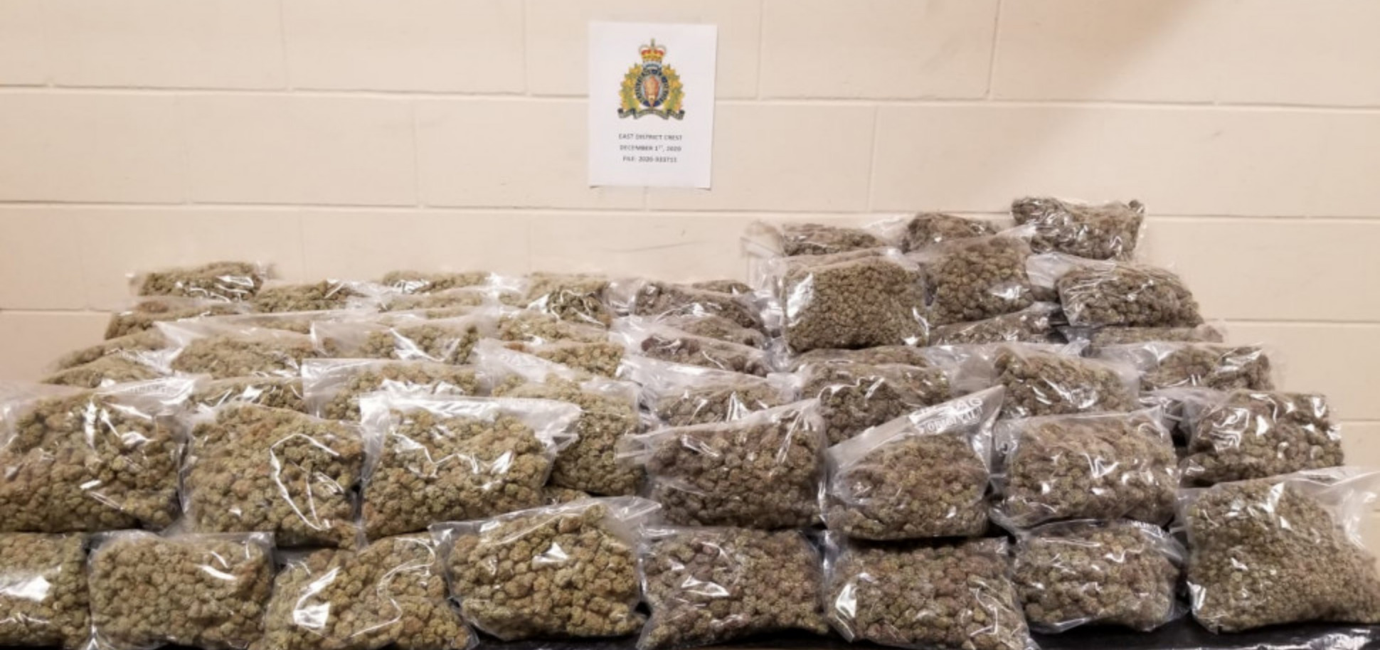 Manitoba RCMP Seize Over 27 Kilograms Of Cannabis During A Traffic Stop ...