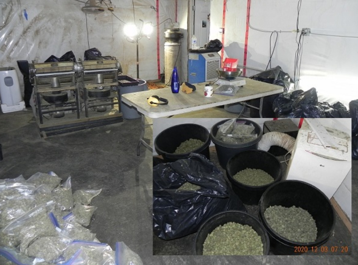 RCMP seize 3,230 cannabis plants in ongoing investigation of illicit production in BC