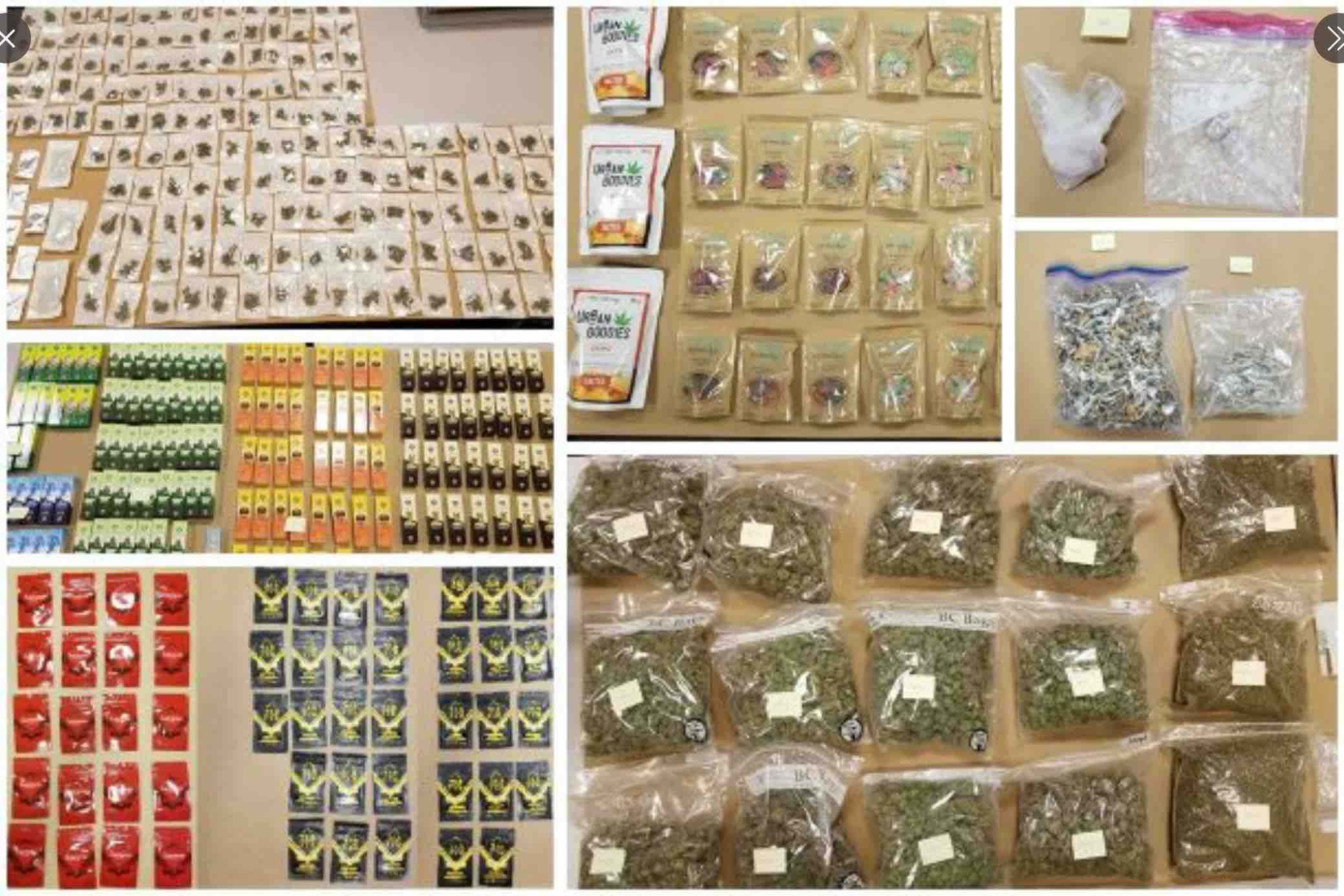 Surrey Drug Unit busts illegal cannabis operation