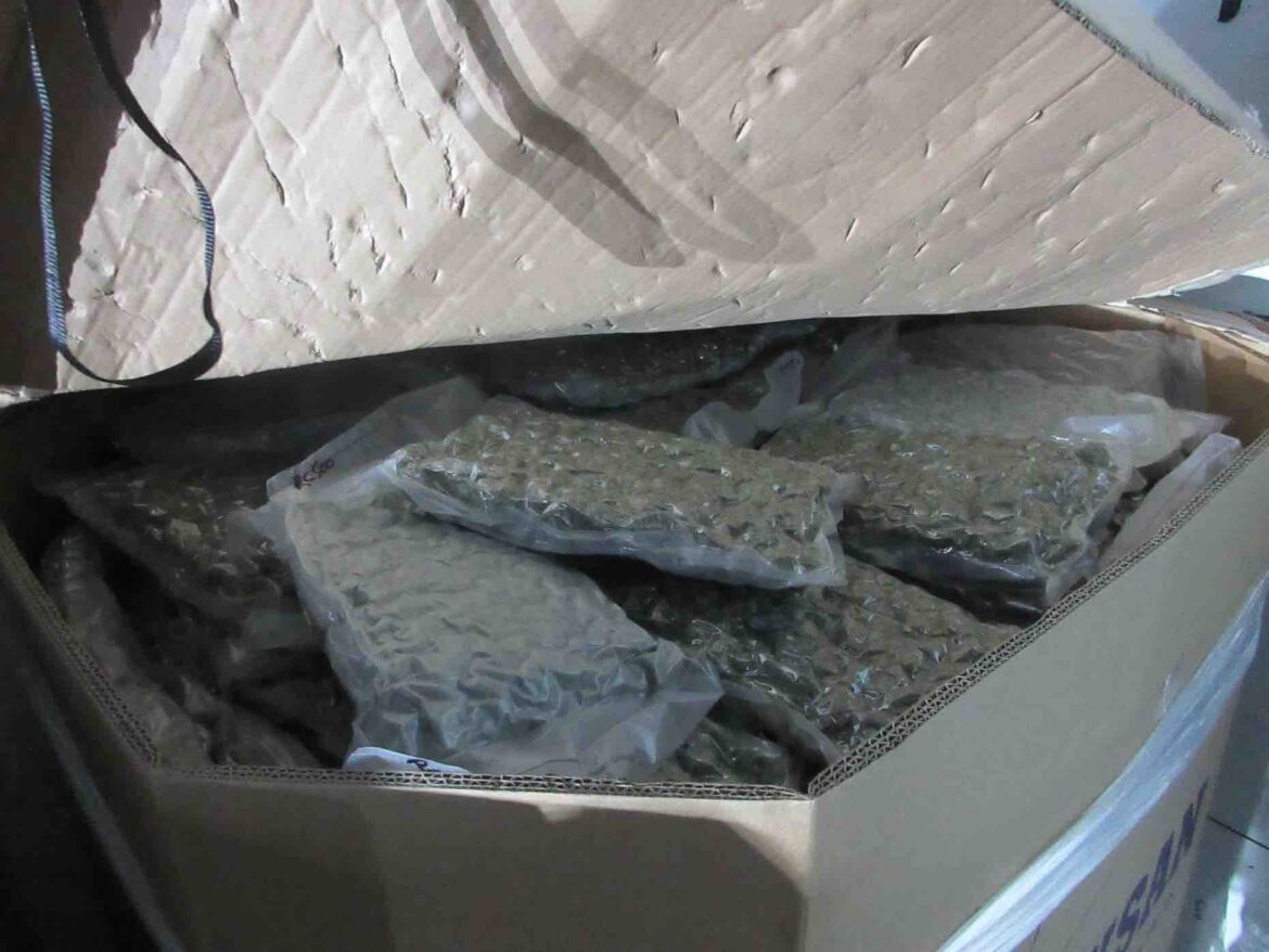 More than $5 million in cannabis seized at US/Canada border in one day