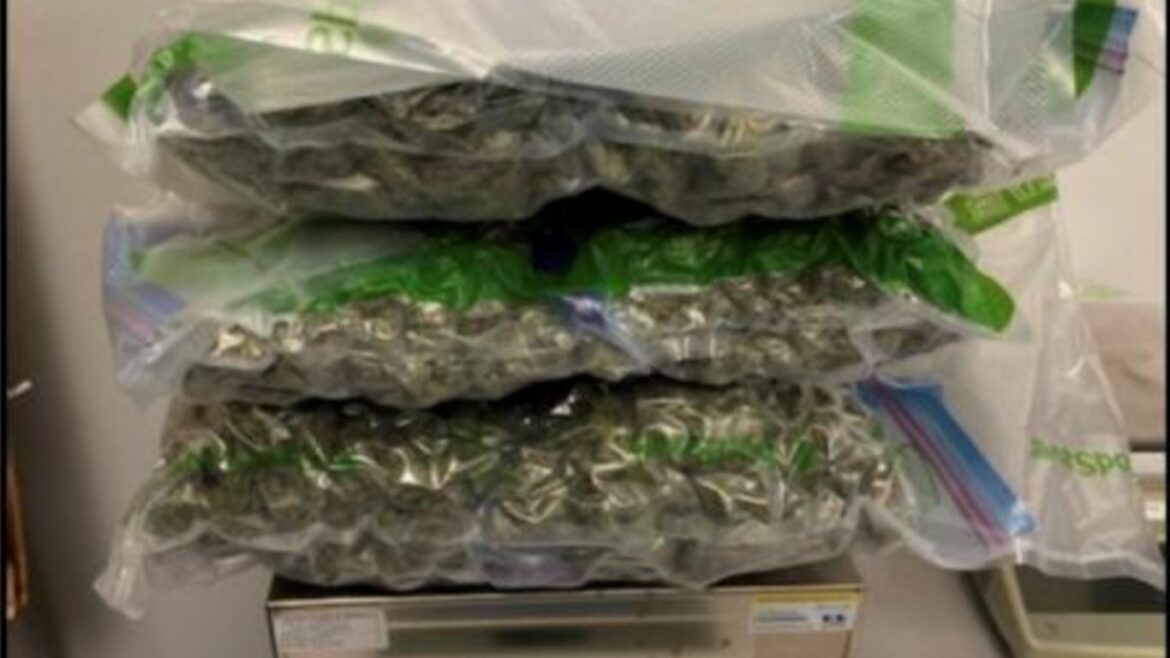 US border agents seize more cannabis entering US from Canada