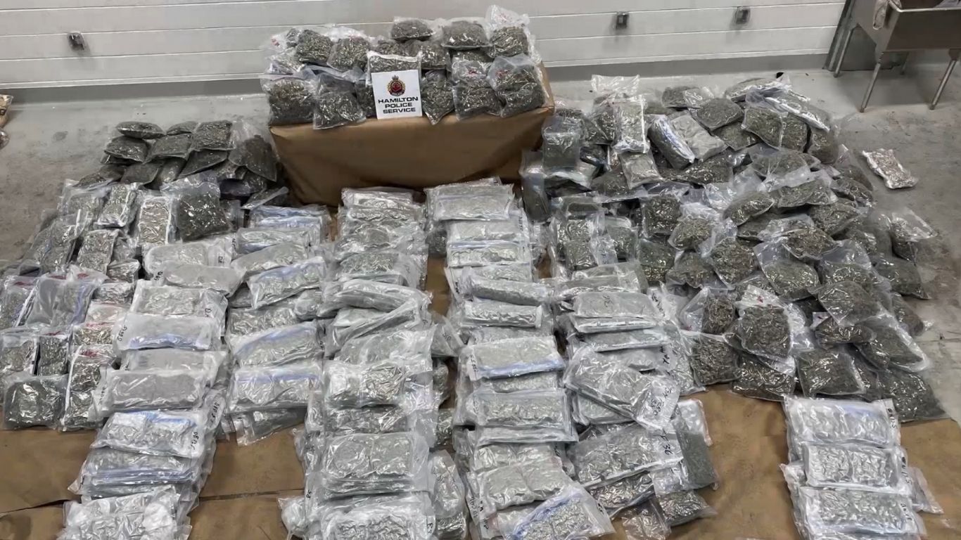 Hamilton police seize nearly 300kg of cannabis destined for US