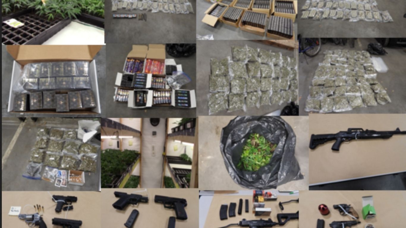 Surrey RCMP seize cannabis, cash, and guns from two BC locations