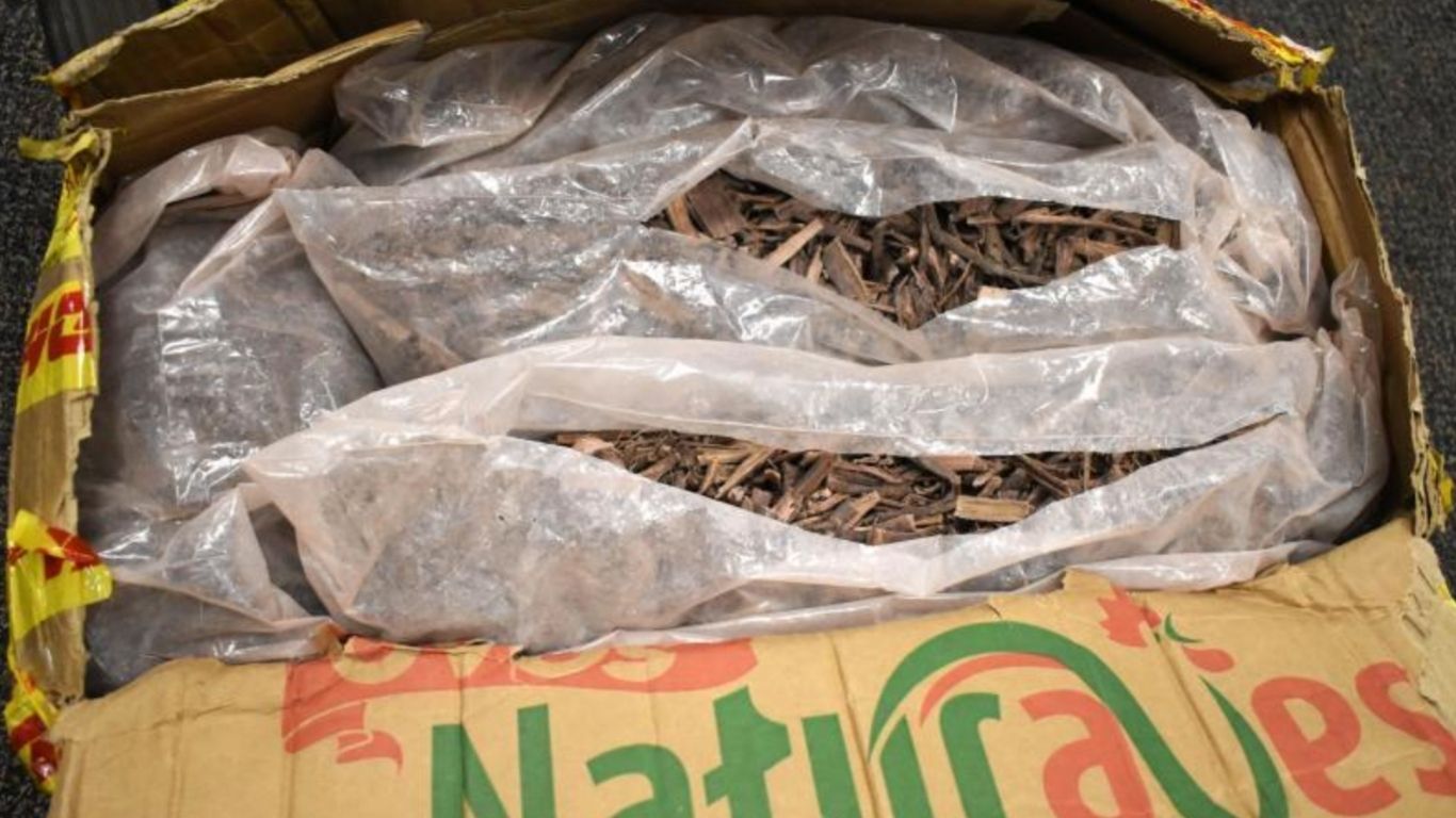 US Customs say they have seized nearly “115 pounds of DMT” in last four months