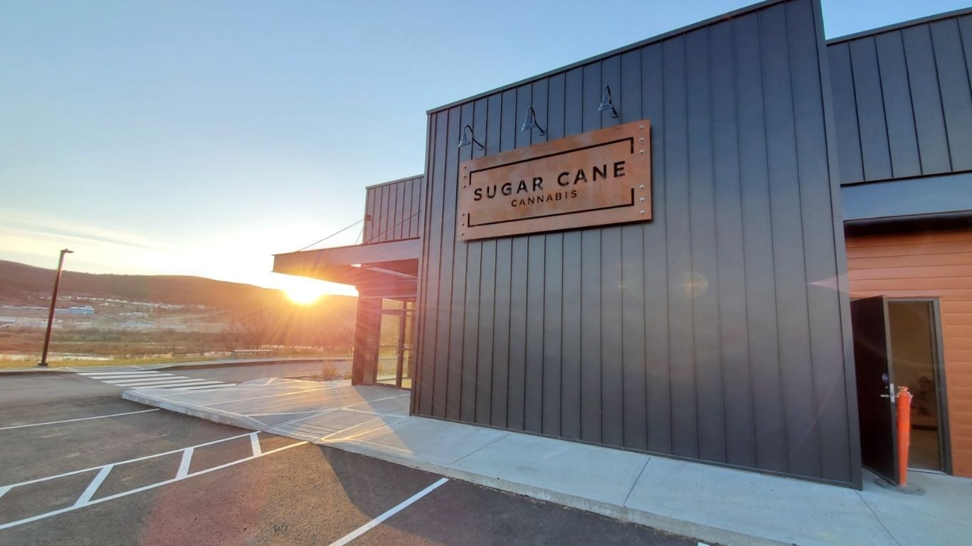 Sugar Cane Cannabis on their new micro cultivation licence