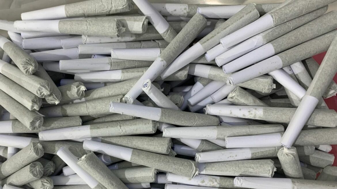 TobaGrown to launch Canada’s first not-for-profit pre-rolls in Manitoba