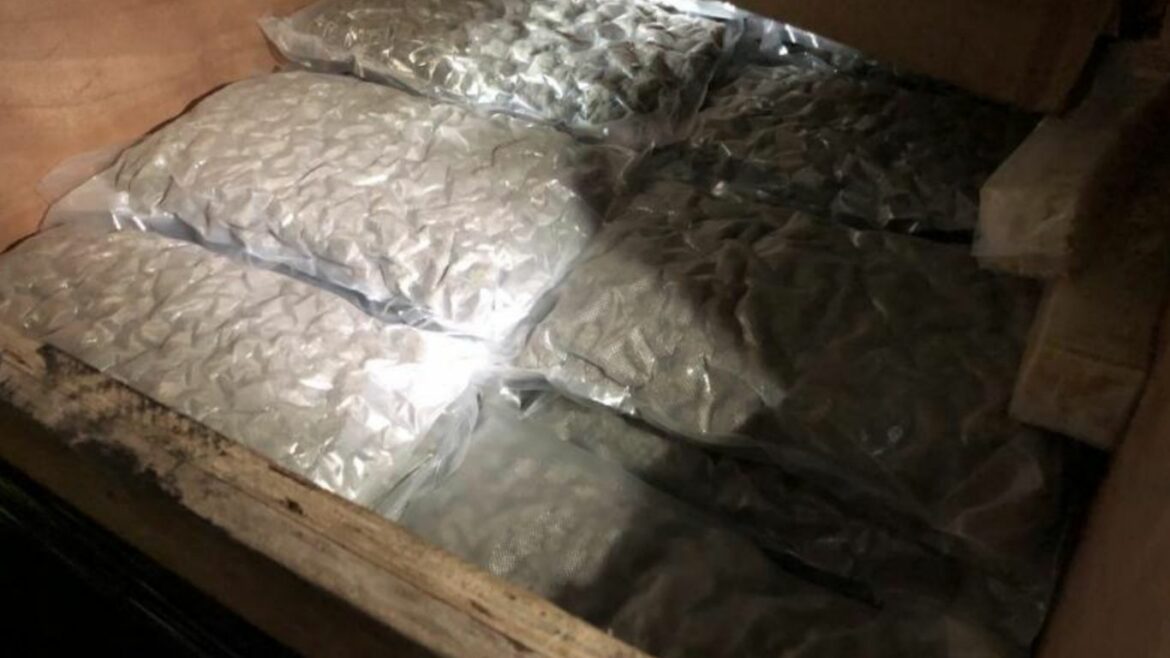 US border agents seize more than 2,000 pounds of cannabis in shipment from Canada