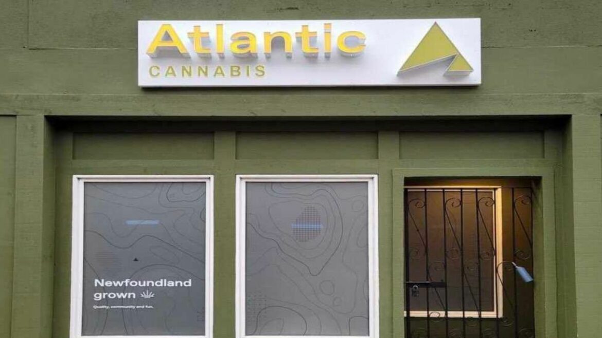 Cannabis clones coming to Newfoundland