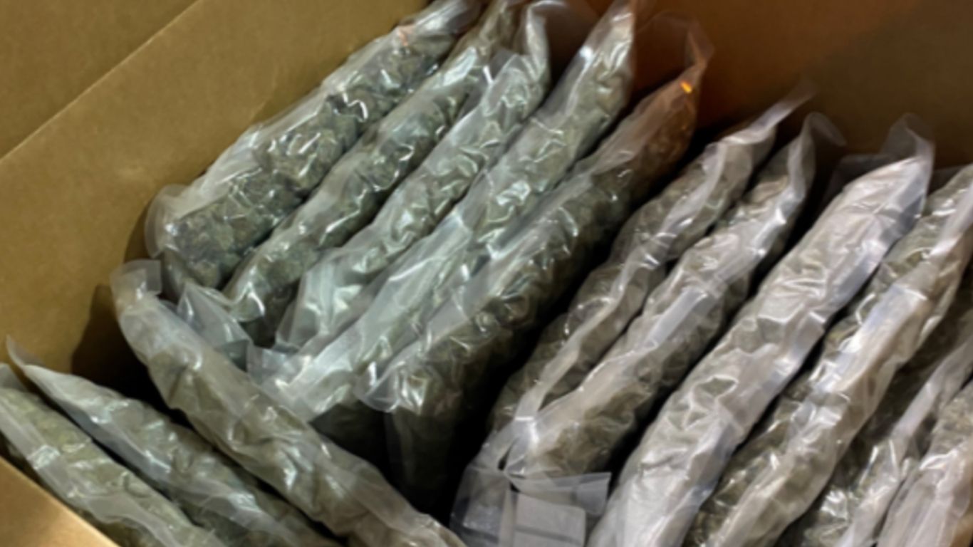 American authorities seize 48 kg of cannabis at Canadian border 