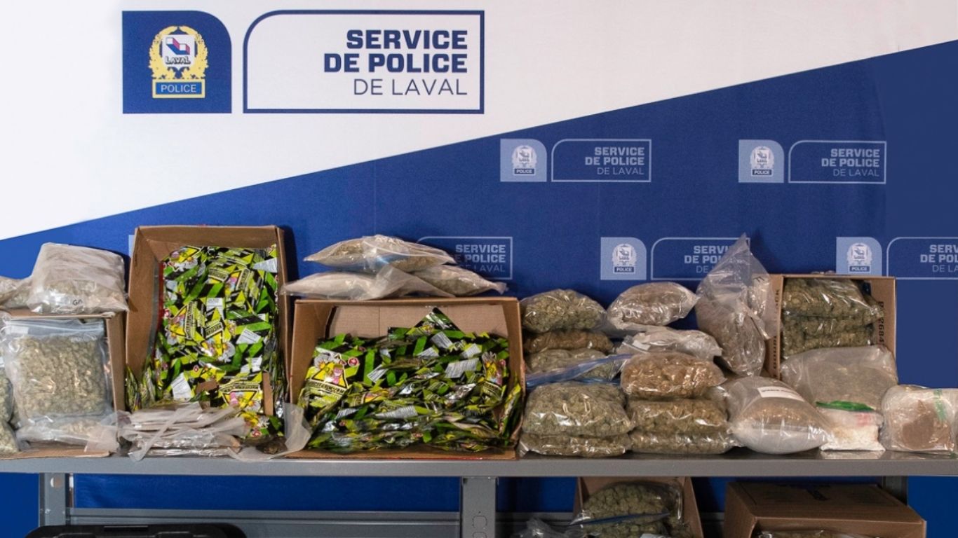 Police in Quebec seize cannabis edibles, vape pens, guns, cash, and more in long-term investigation