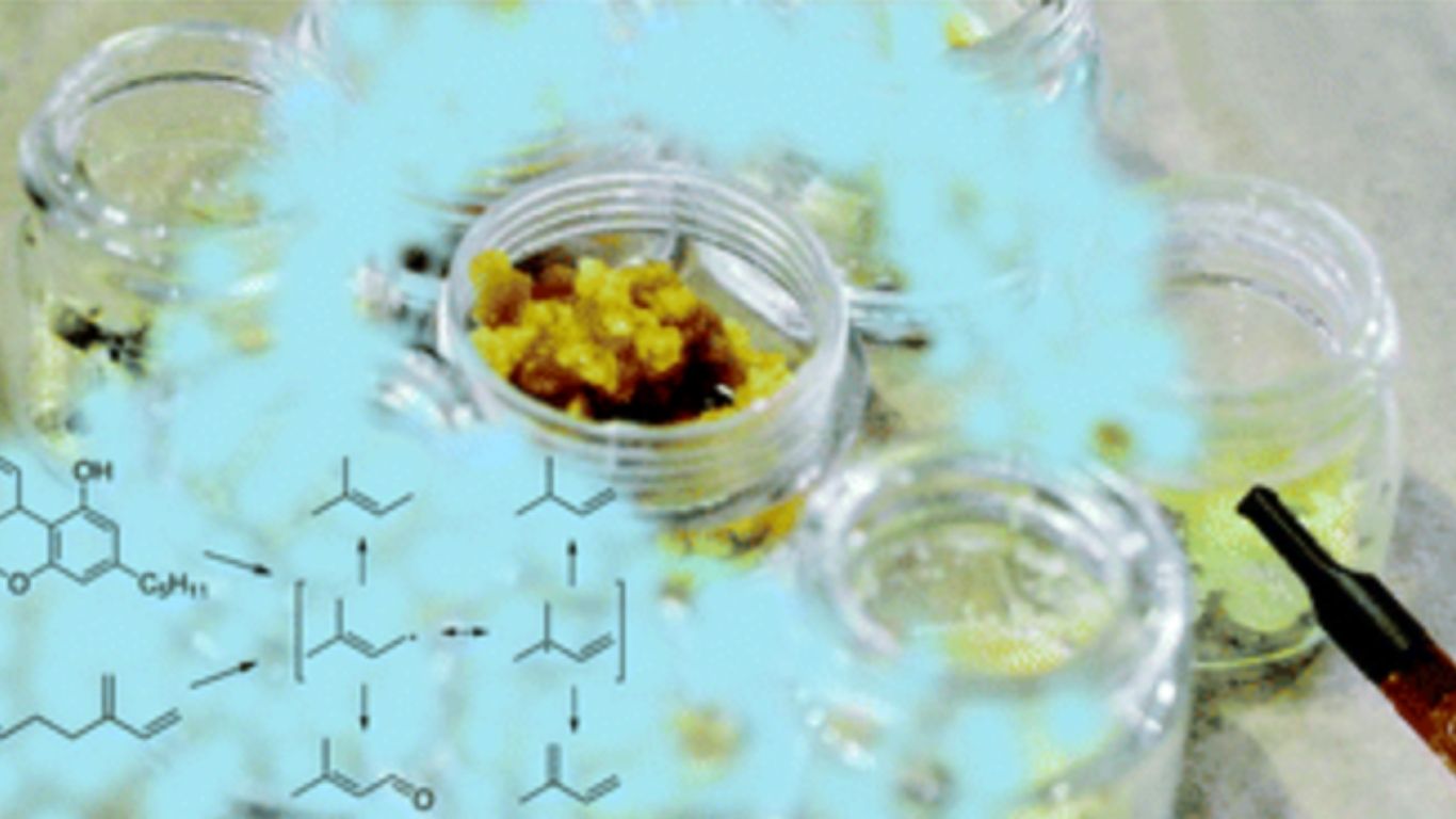 Increased terpene content leads to elevated release of degradation products for dabbing, decreases degradation in vape cart solutions