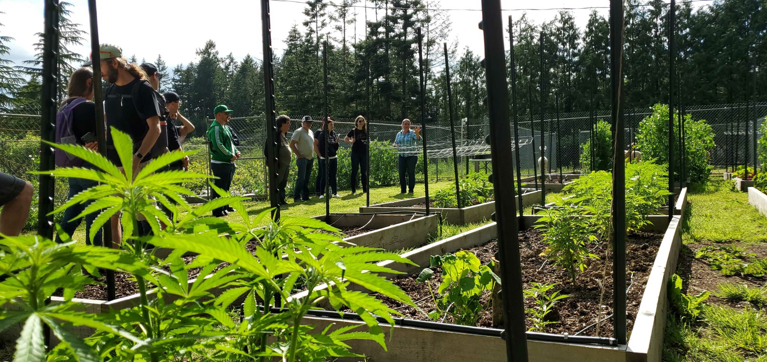 StratCann’s first cannabis tour connects retailers, growers, and processors