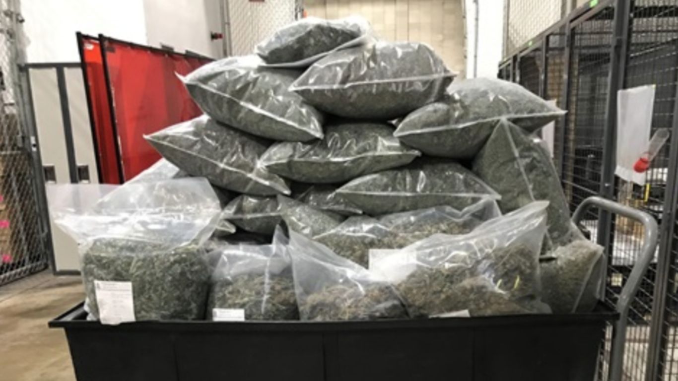 Edmonton police seize cannabis, cannabis products, psilocybin following investigation into illicit online retailer