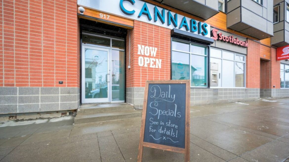 Alberta has collected more than $176,000 in cananbis fines since 2018