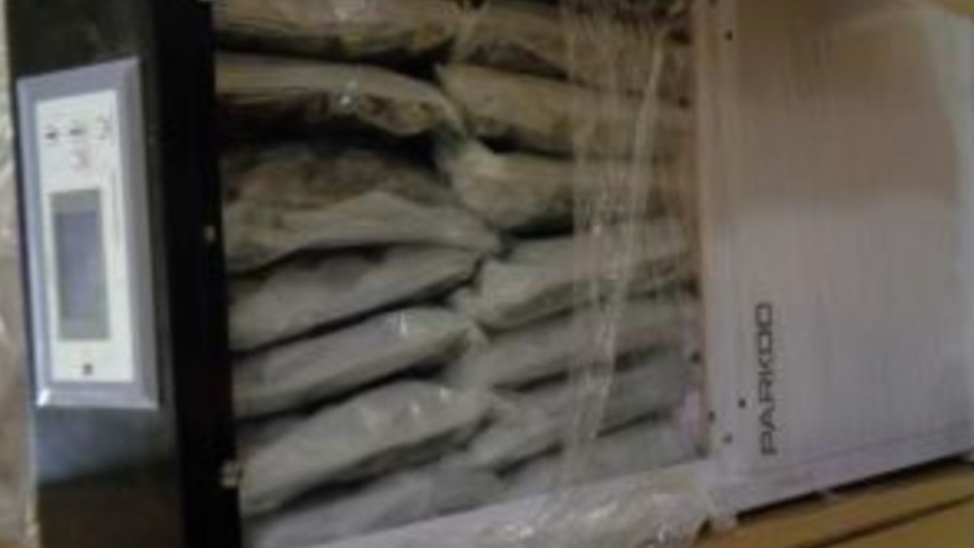 US border agents seize 413 pounds of cannabis shipped from Ontario