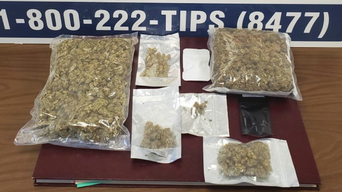 Police in Newfoundland hope to locate owner of 2 pounds of ditch weed