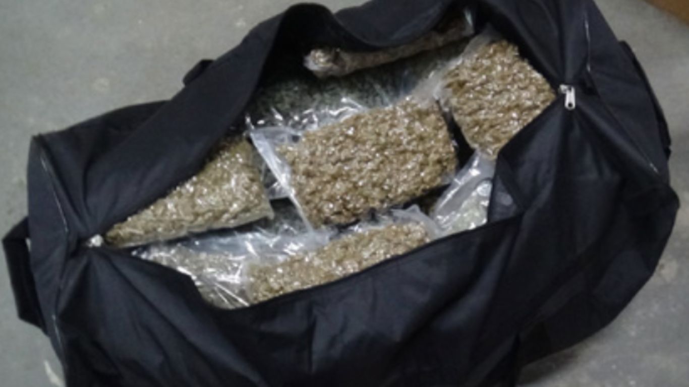 photo of OPP seize more than $1.8 million worth of cannabis plants, cocaine, fentanyl, psilocybin  image