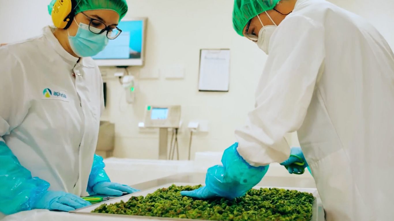 Tilray’s adult-use cannabis and international revenue down year-over-year